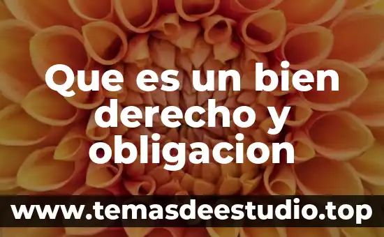 Que es la forma de la obligación 7 Que es un bien derecho y obligacion
