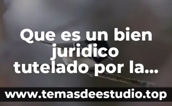 Que es un alias diccionario juridico 5 Que es un bien juridico tutelado por la ley