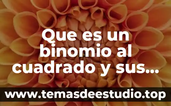 Que es un eje de simetria de un cuadrado 3 Que es un binomio al cuadrado y sus reglas