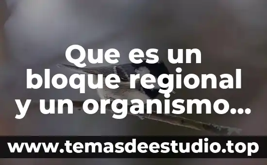 Que es el tercer bloque funcional de luria 4 Que es un bloque regional y un organismo internacional