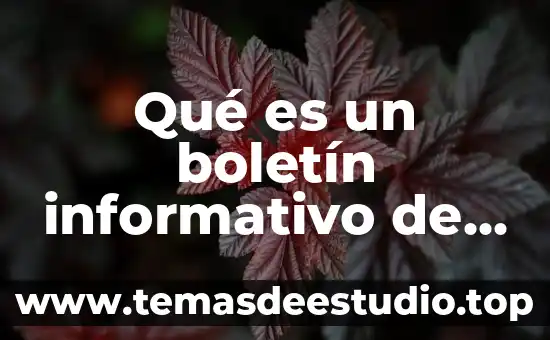 Que es un rticulo informativo 4 Qué es un boletín informativo de noticias gubernamentales