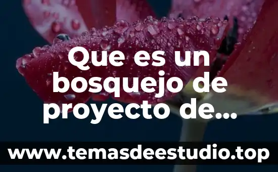 Que es un bosquejo de proyecto de investigacion
