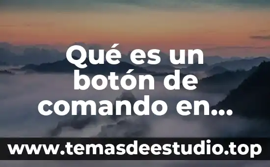 Qué es un botón de comando en pseint