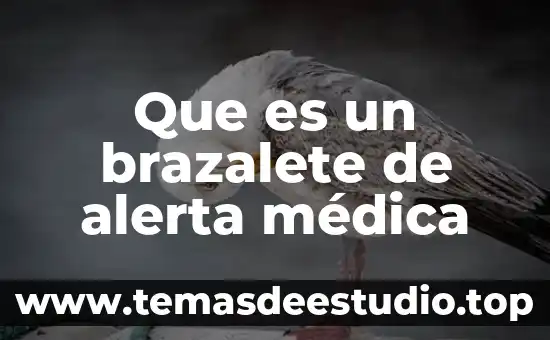 Qué es alerta amber concepto 6 Que es un brazalete de alerta médica