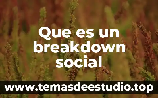 Que es significa fin social 5 Que es un breakdown social