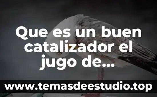 Que es un buen catalizador el jugo de zanahoria