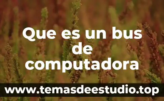 Que es el celular y la computadora 6 Que es un bus de computadora