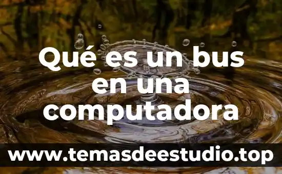 Que es el modo hibernar en la computadora 6 Qué es un bus en una computadora