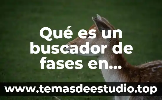 Qué es la electronica de potencia aplicada 6 Qué es un buscador de fases en electrónica