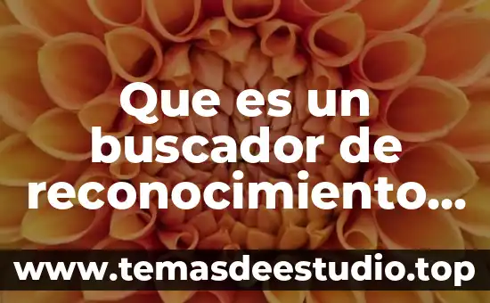 Que es la funcionalidad en la sociedad 6 Que es un buscador de reconocimiento en la sociedad