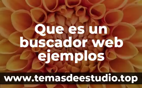 Que es definición ejemplos 8 Que es un buscador web ejemplos