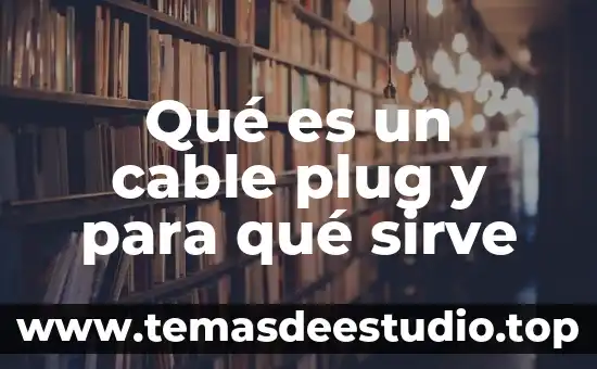 Qué es un cable plug y para qué sirve