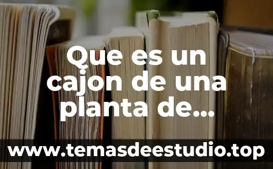 Que es una planta de beneficio minero 5 Que es un cajon de una planta de beneficio