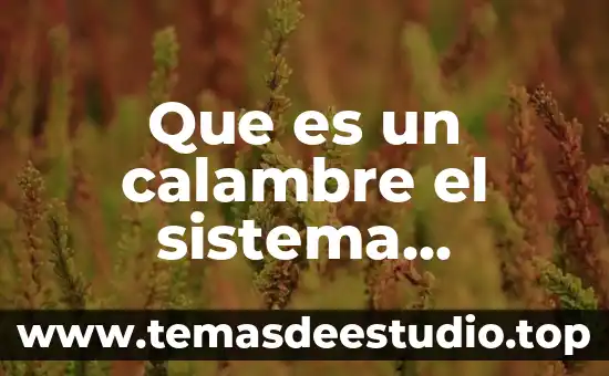 Definición de autores de lo que es resistencia muscular 6 Que es un calambre el sistema muscular