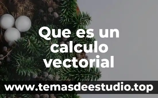 Que es el espacio vectorial con producto interno y sus propiedades 4 Que es un calculo vectorial