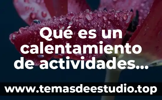 Qué es administración agropecuaria definición 8 Qué es un calentamiento de actividades comunales definición