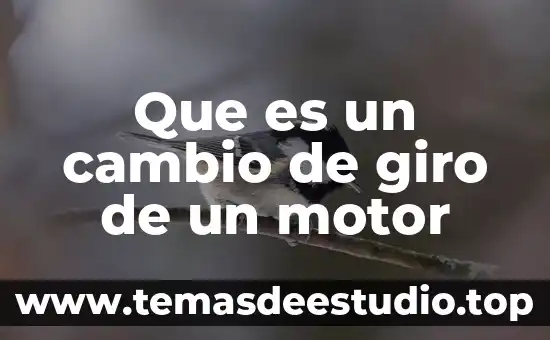 Que es la pieza figurillas del museo nacional de antropología 4 Que es un cambio de giro de un motor