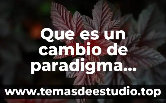 Que es un objeto social de un grupo de personas 7 Que es un cambio de paradigma social