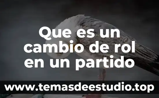 Que es el cambio en la historia 4 Que es un cambio de rol en un partido
