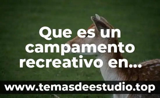 Que es pensamiento computacional en la educacion 6 Que es un campamento recreativo en educacion fisica