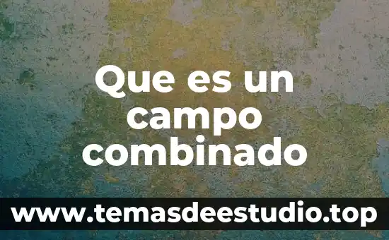 Que es el periodo clasico griego lo más importante 3 Que es un campo combinado