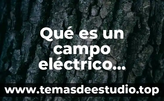 Que es un sistema homogeneo matrices 5 Qué es un campo eléctrico homogéneo