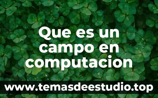 Que es un campo de computacion 8 Que es un campo en computacion