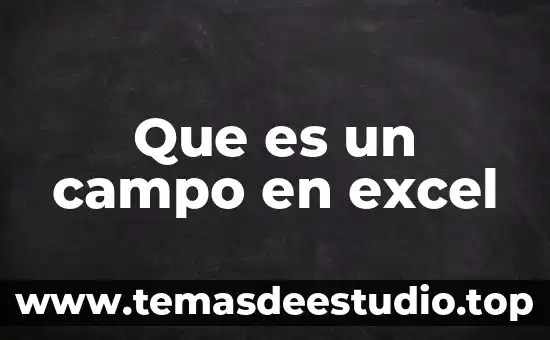 Qué es campo clave 3 Que es un campo en excel