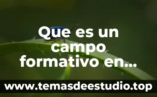 Que es un campo formativo en educacion preescolar