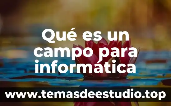 Que es el pensamiento lateral informatica 6 Qué es un campo para informática