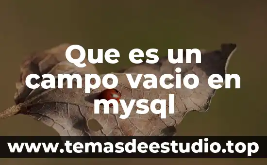 Que es el campo visual en fotografia 5 Que es un campo vacio en mysql