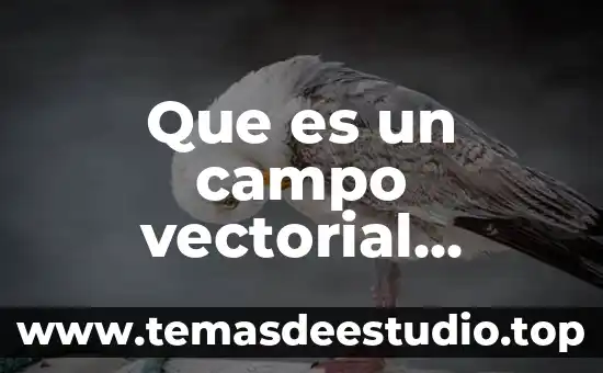 Que es el campo petrolero o planta refinería de petroleo 5 Que es un campo vectorial energias alternativas