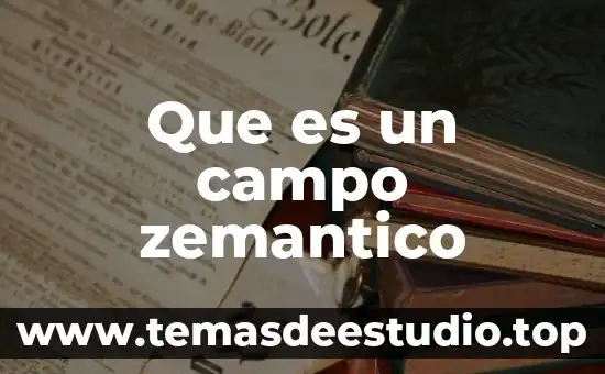 Que es el campo visual en fotografia 7 Que es un campo zemantico