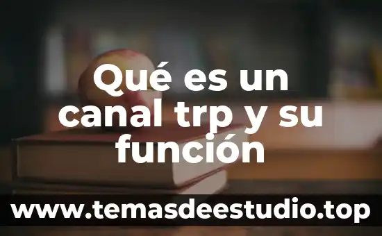 Qué es el humor vítreo función 8 Qué es un canal trp y su función