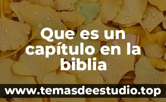 Que es un capítulo en la biblia