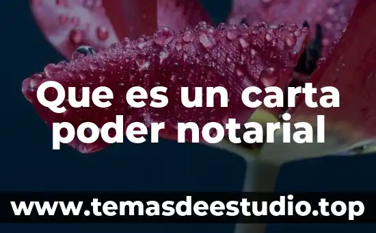 Que es un carta poder notarial