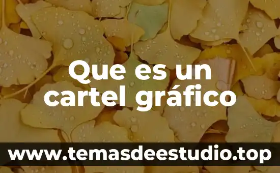 Que es un cartel gráfico