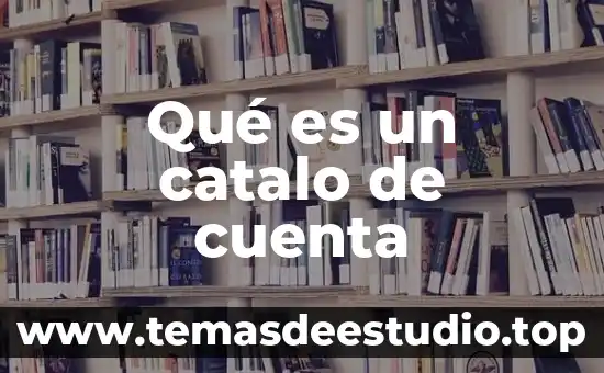 Cuenta básica que es 7 Qué es un catalo de cuenta