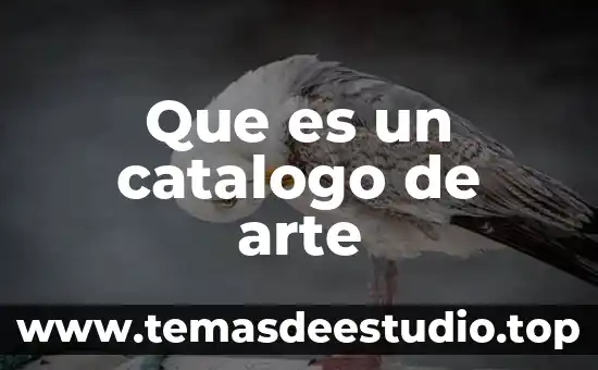 Que es el vieao arte 6 Que es un catalogo de arte