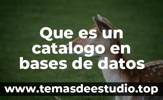 Catálogo electrónico que es 8 Que es un catalogo en bases de datos