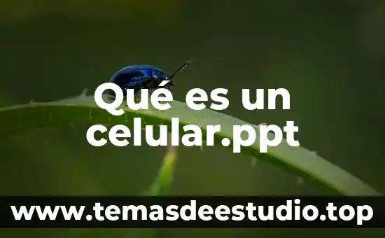 Altica que es 4 Qué es un celular.ppt