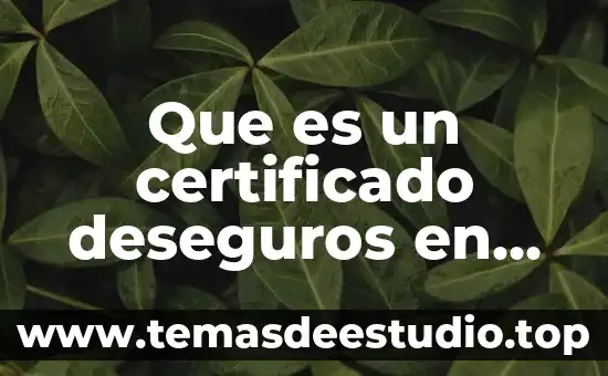 Que es un certificado deseguros en comercio exterior
