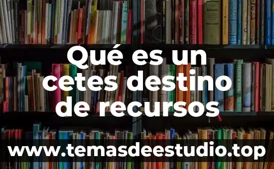 En un proyecto que es la definición de recursos 5 Qué es un cetes destino de recursos