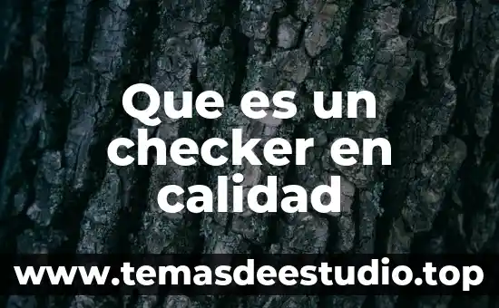 Que es un checker en calidad