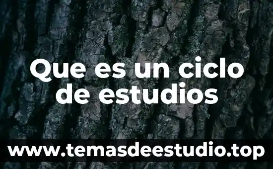 Que es un ciclo de estudios