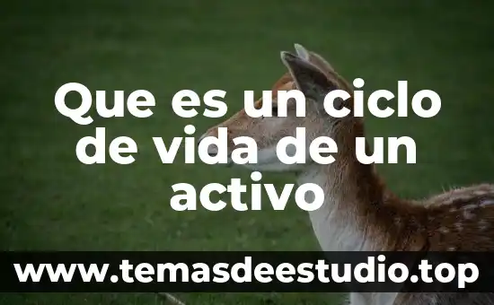 Que es un ciclo de vida de un activo