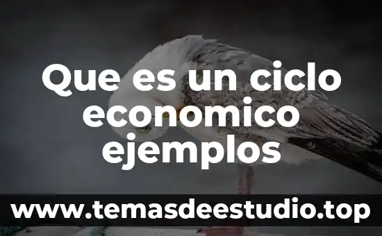 Que es el menu económico 3 Que es un ciclo economico ejemplos
