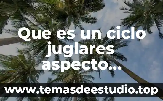Que es un ciclo juglares aspecto economico