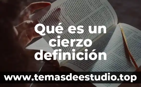 Qué es un cierzo definición
