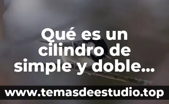Que es el efecto fotoquímico 8 Qué es un cilindro de simple y doble efecto
